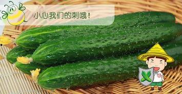 吃瓜六队,一场娱乐界的风云际会