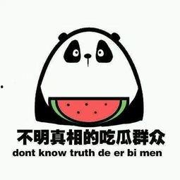 我只当吃瓜群众,吃瓜群众视角下的娱乐圈风云录