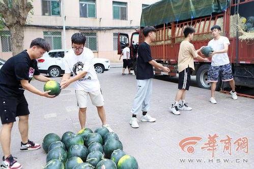 贵州师范学院 吃瓜,吃瓜群众眼中的校园风云录