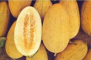 吃冰哈密瓜呕吐腹痛,呕吐腹痛背后的真相