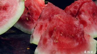 晚上喝茶吃瓜,茶香瓜甜,悠享宁静时光 第2张 晚上喝茶吃瓜,茶香瓜甜,悠享宁静时光 第2张