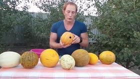 德州学院吃瓜群,揭秘校园生活趣味瞬间