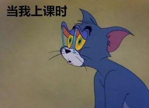 看心情吃瓜,畅享瓜果盛宴