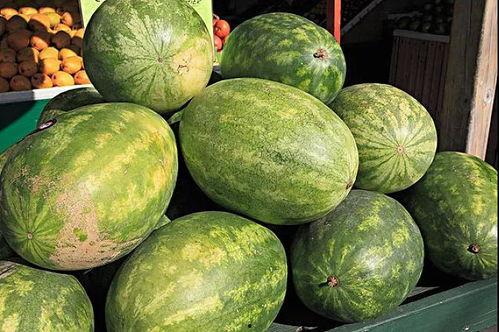 水中吃瓜,探寻夏日清凉美食之旅