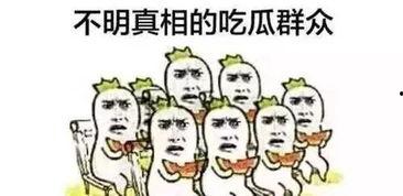 吃瓜群众年代文,揭秘娱乐圈背后的风云变幻
