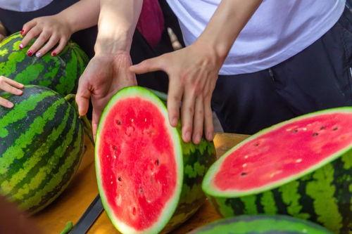 吃瓜学校椅子,椅子背后的故事与秘密